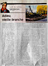 Adieu, vieille branche, Sabine Dormond. Article paru dans L'air du temps de Riviera-Chablais le 13 décembre 2023